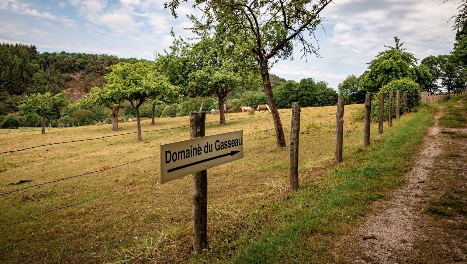 Domaine du Gasseau. ©Cécile Bonneau 