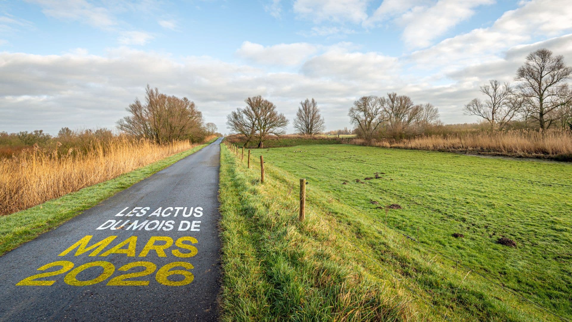 Une route de campagne avec un ciel bleu