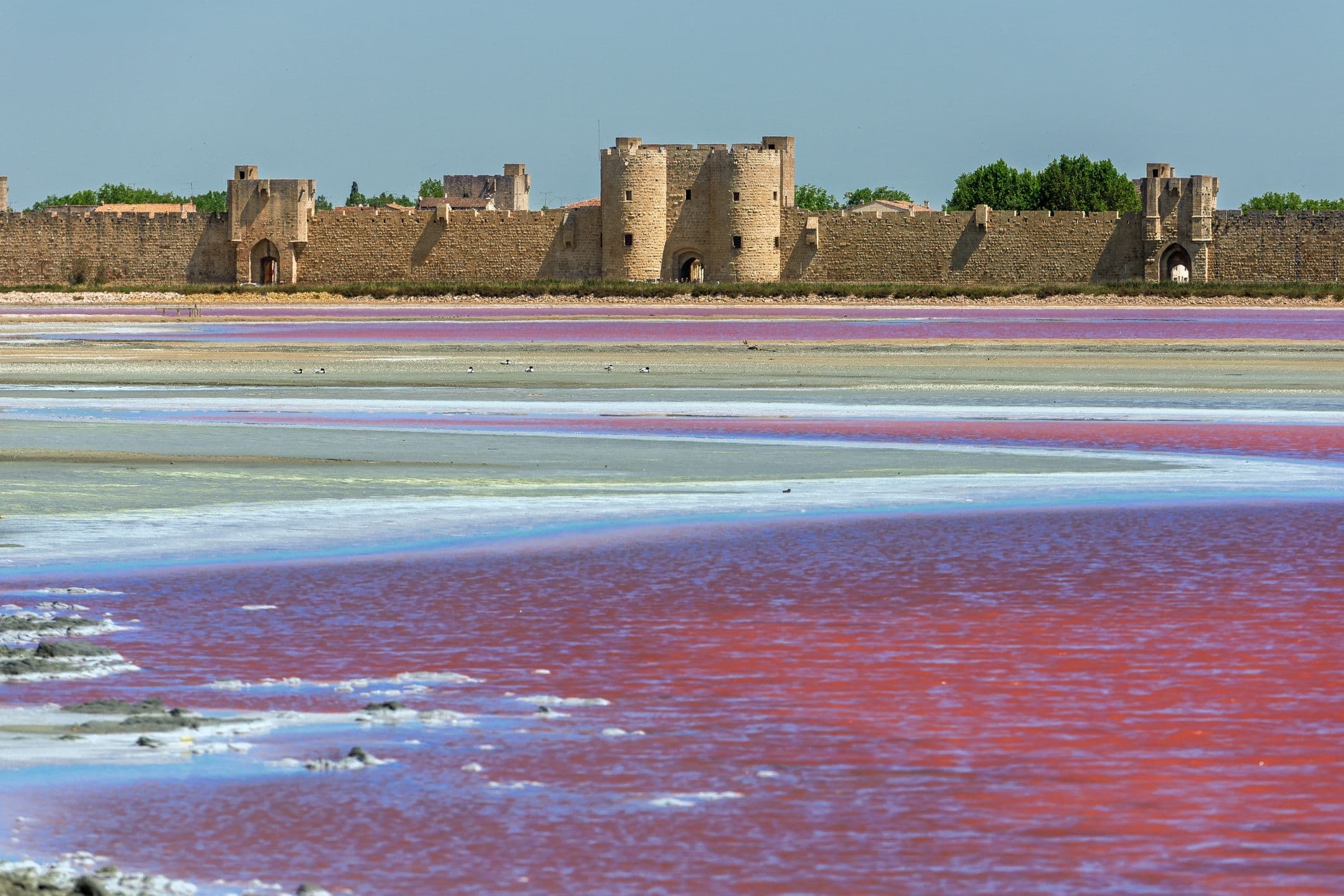 Les remparts d'Aigues Mortes et les salins multicolores. ©AGaeta