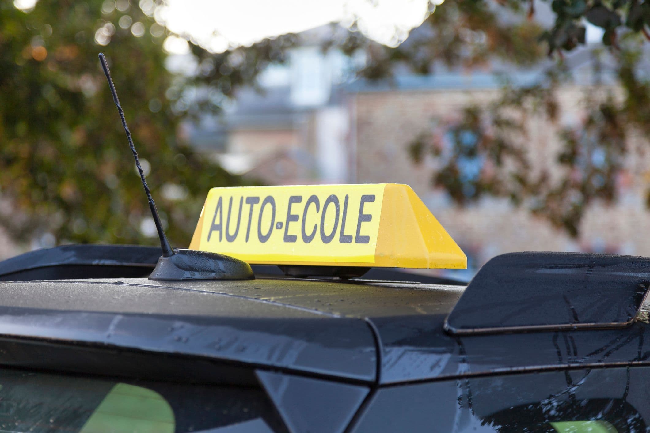 Une plaque d'auto-école.