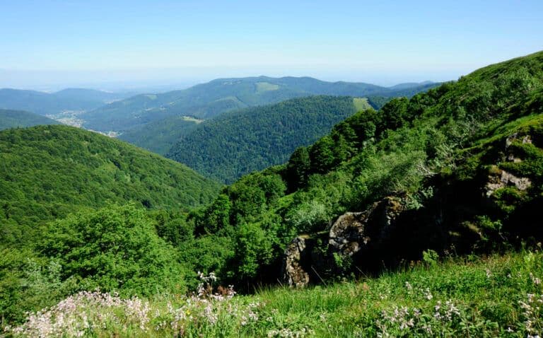 Le Ballon d'Alsace regorge de paysages de montagne très photogéntiques. @Ballon d'Alsace