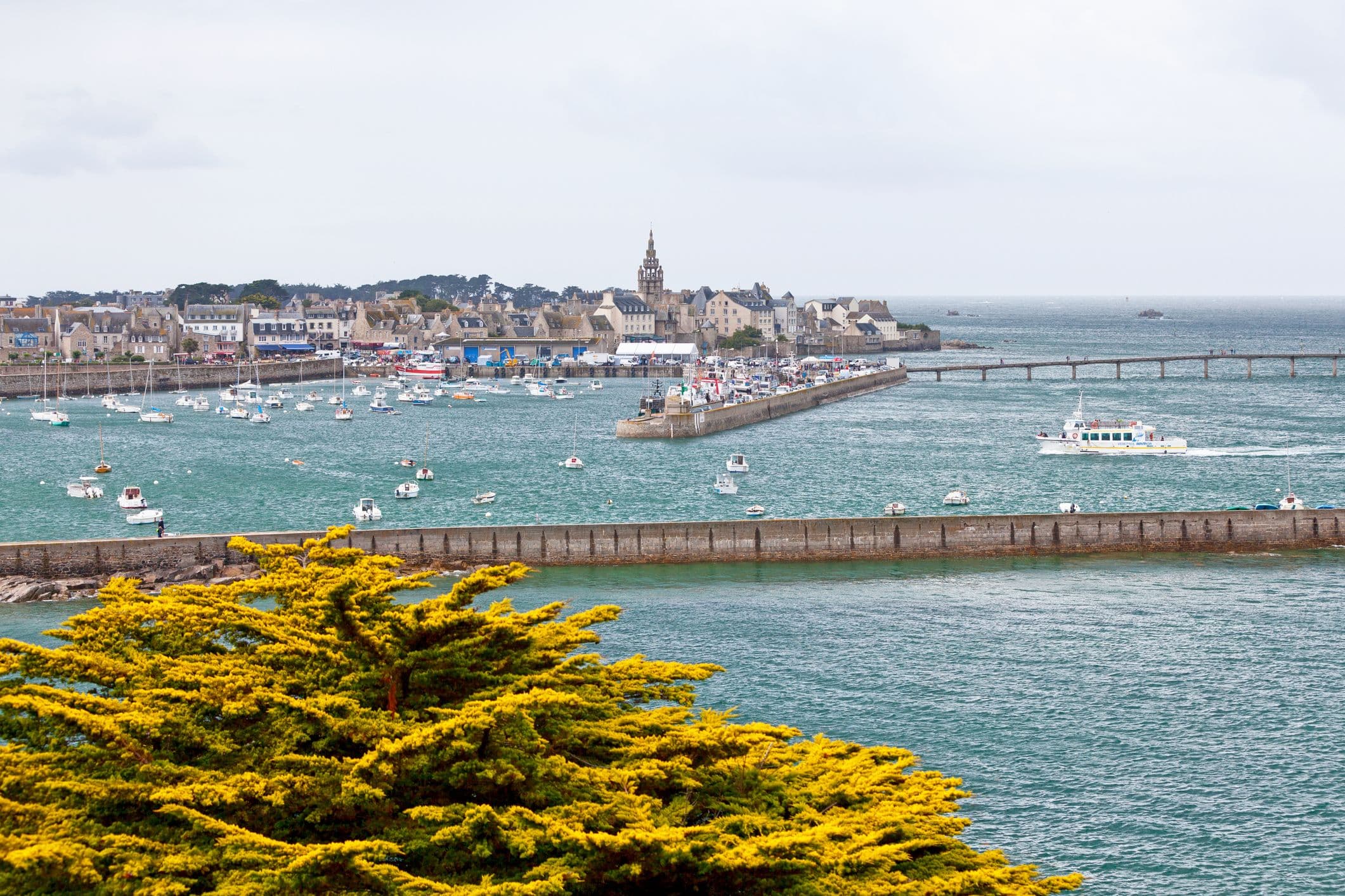 Vue sur le port de Roscoff. ©Gwegoat 