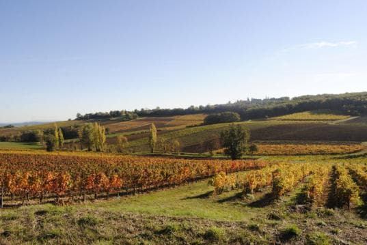 Goûter les vins de la région. ©Domaine de Gayssou