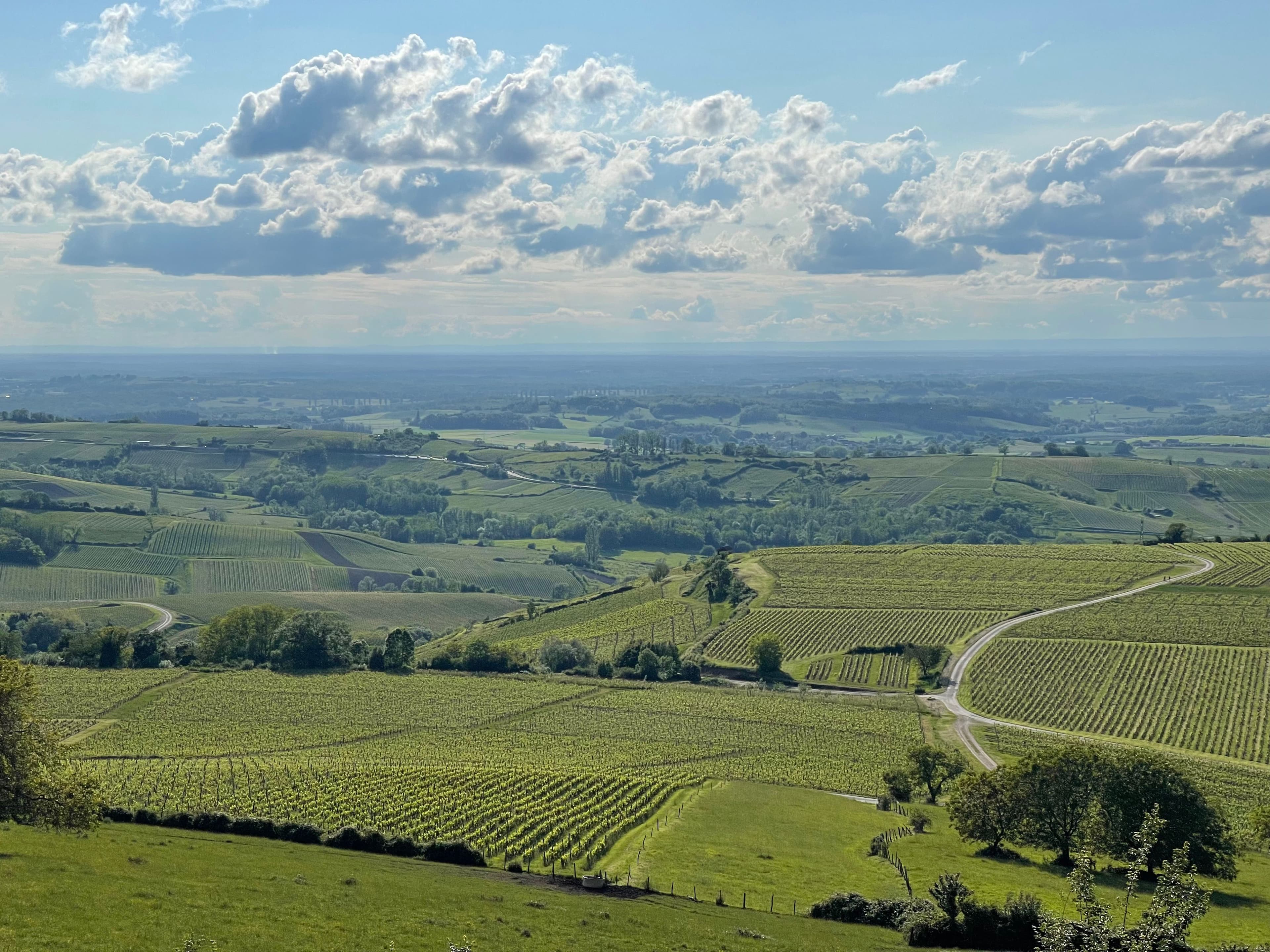 Marche jusqu'au belvédère pour découvrir le domaine. ©Roole