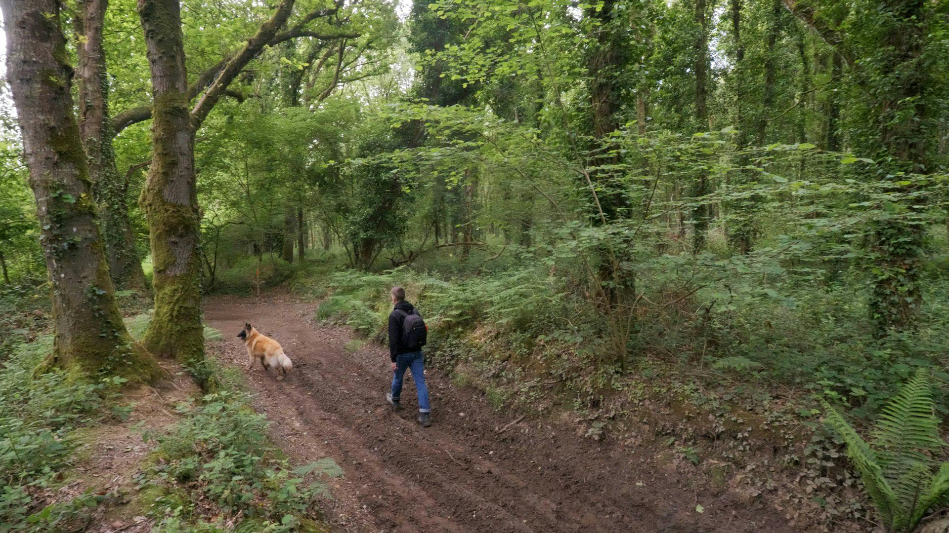 Rien de mieux qu'une balade en forêt pour bien démarrer la journée ! ©Roole