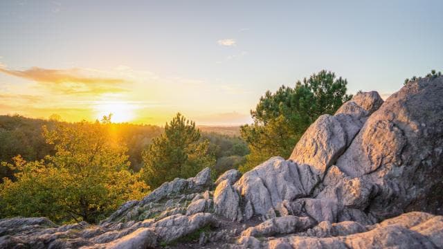 Val sans Retour dans la Forêt de Brocéliande © Poriel Thibault