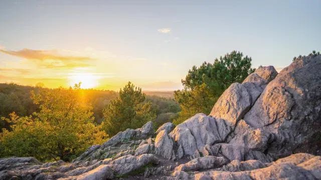 Le Val sans Retour dans la Forêt de Brocéliande. ©Poriel Thibault