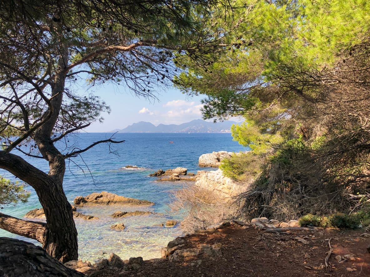 La beauté sauvage de l'Île Sainte-Marguerite ©Ekaterina Kaliaeva - IStock