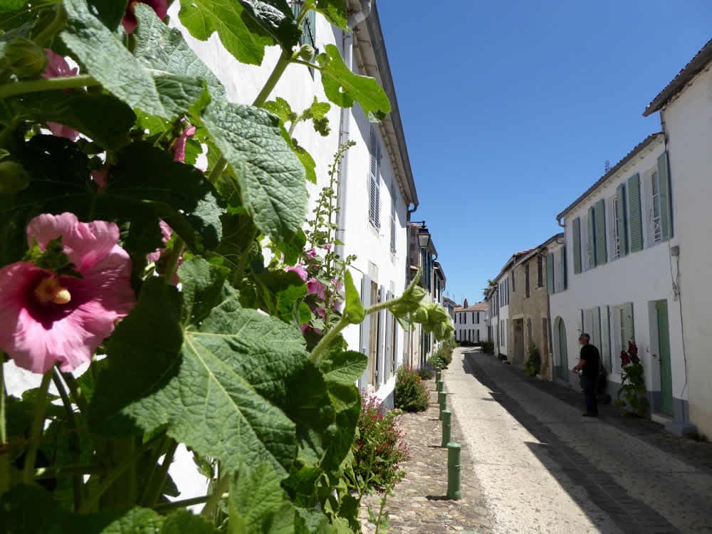 Une rue de La Flotte-en-Ré