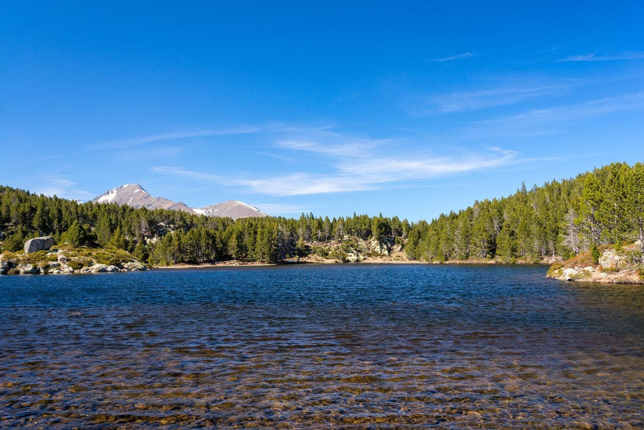 Le lac de Matemale entouré de conifères.