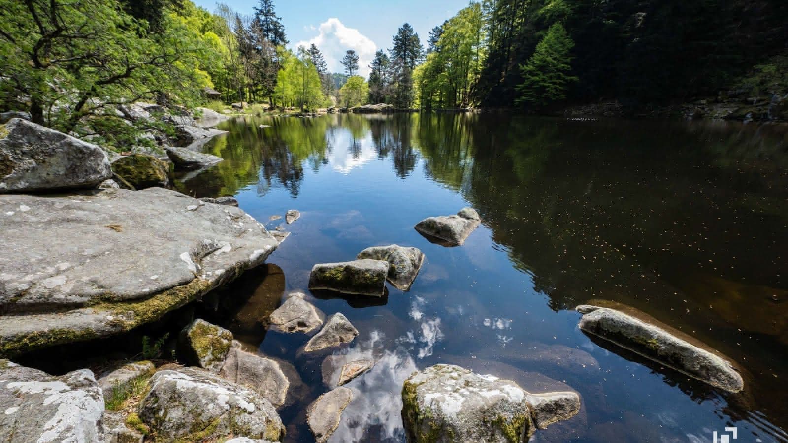 Flâner près du Lac du Fischboedle. @Visit Alsace