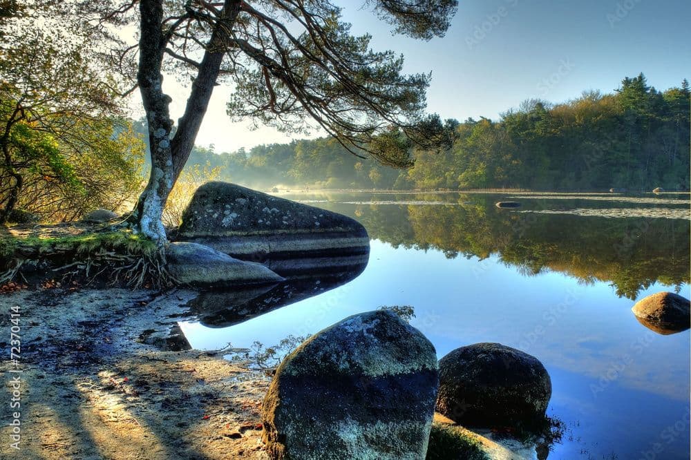 Le "sentier des merveilles" aux allures de Canada. ©Adobe Stock