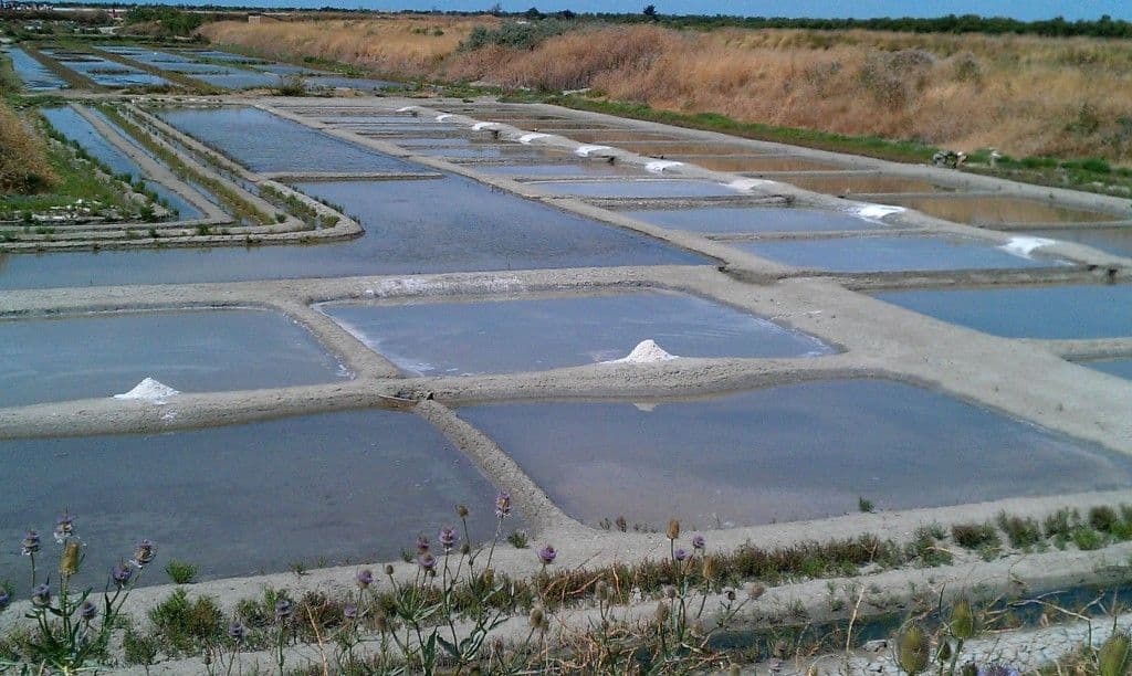 (Re)découvrir les marais salants ©S. Renard CSF