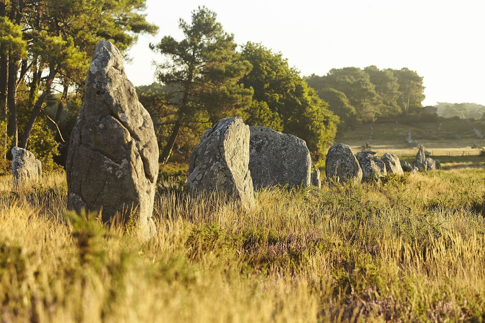 Alignements du Ménec © Office du tourisme de Carnac