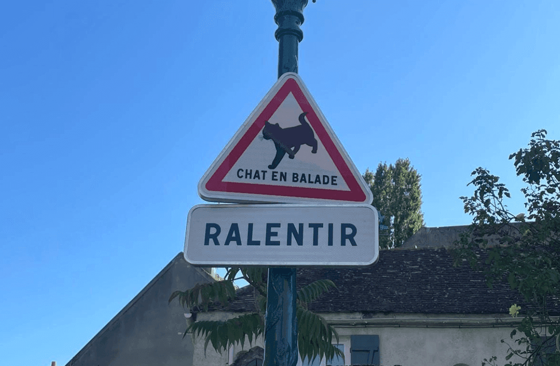 Panneau chat en balade à Mennecy.