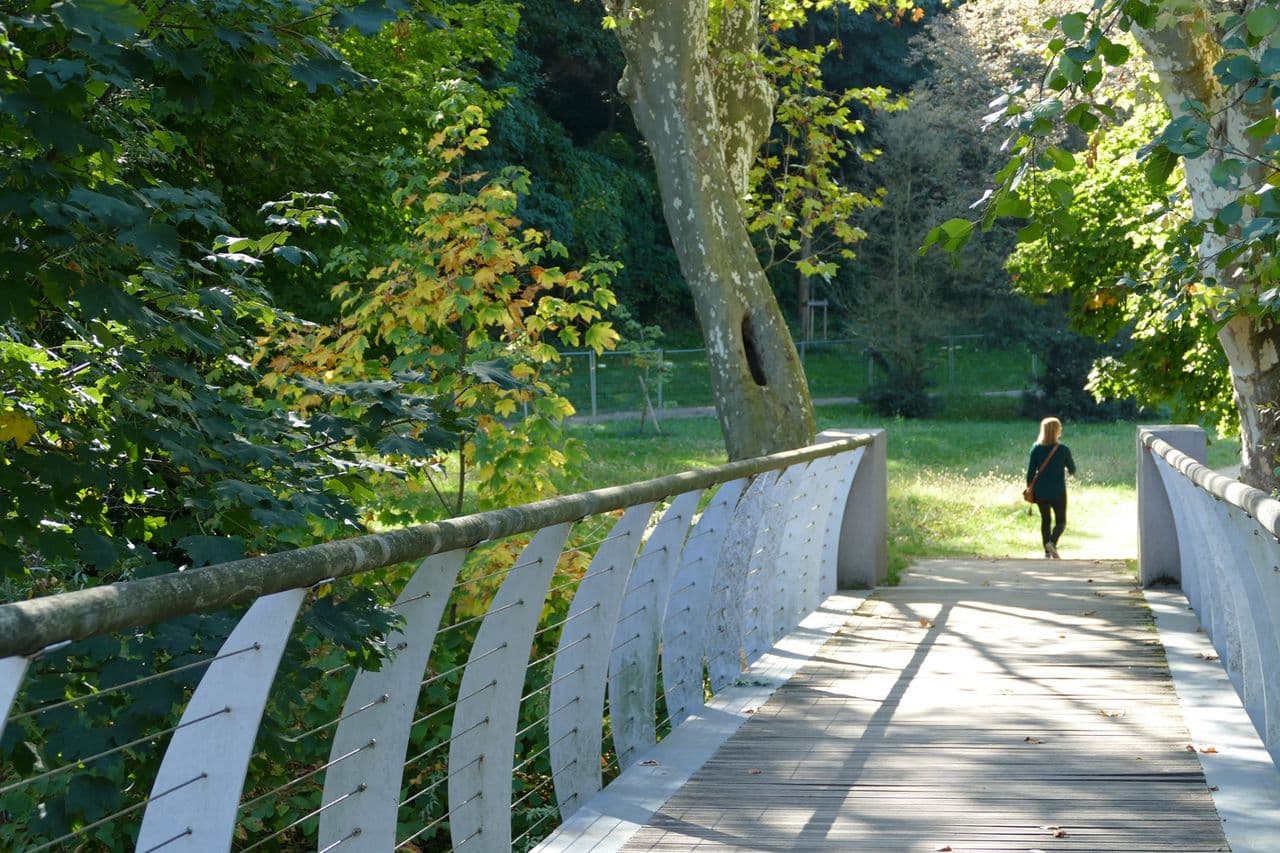 Le très grand parc en plein air de l'Yzeron, parfait terrain de jeu. ©OTLyon