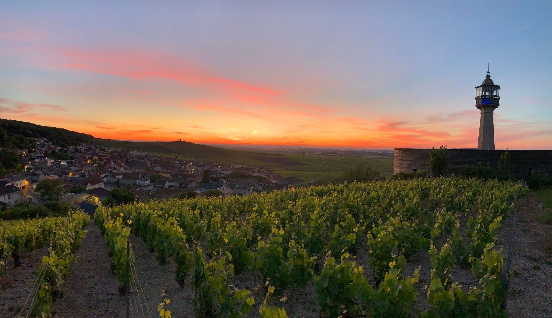 Les vignes de Champagne au coucher de soleil, depuis le phare de Verzenay. ©Jim Vitoux