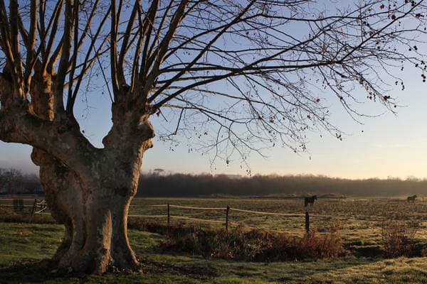 La Plaine d'Ansot. ©Ville de Bayonne 