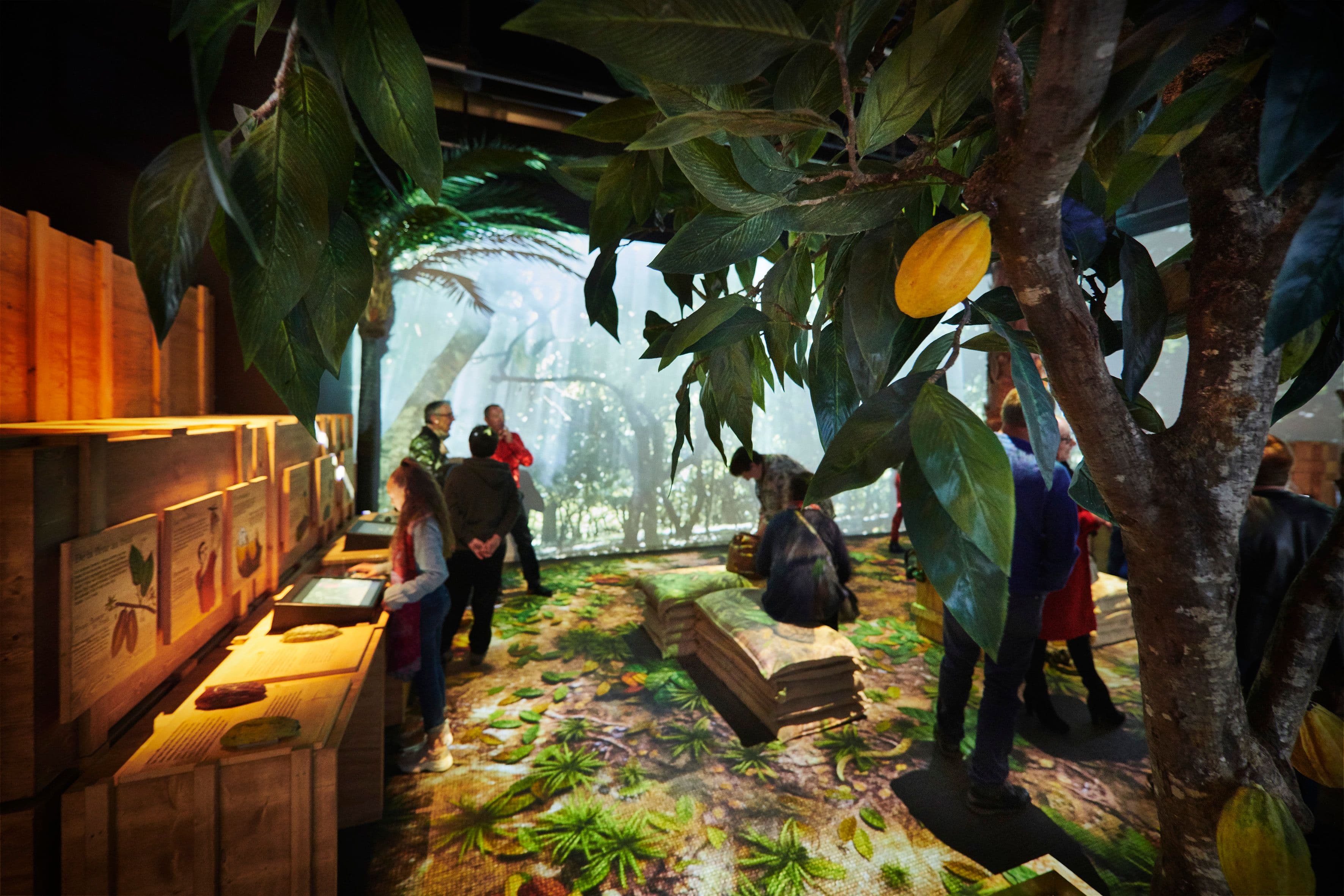 Le parcours propose une immersion dans les plantations de cacao. ©Ph. Barret