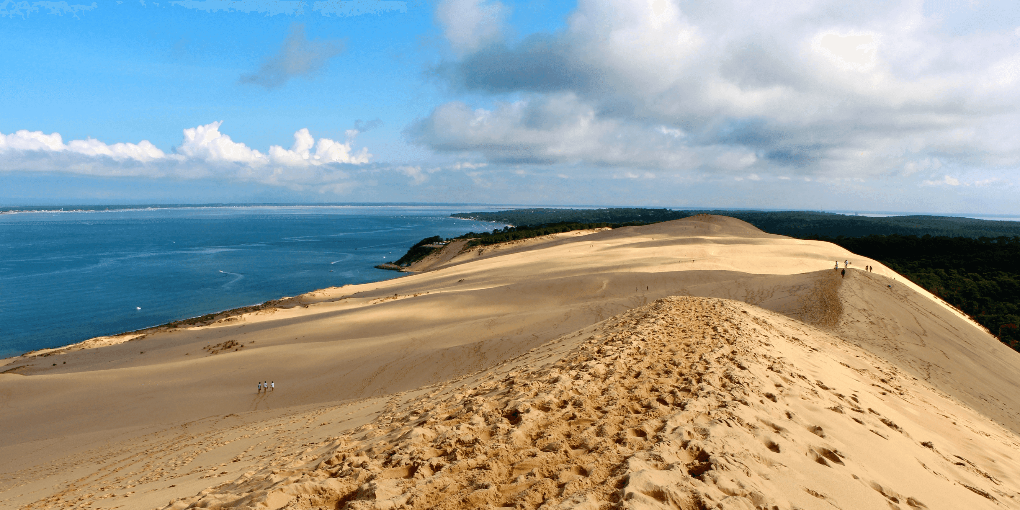 La Dune du Pilat depuis son "sommet", à 102m de hauteur tout de même !