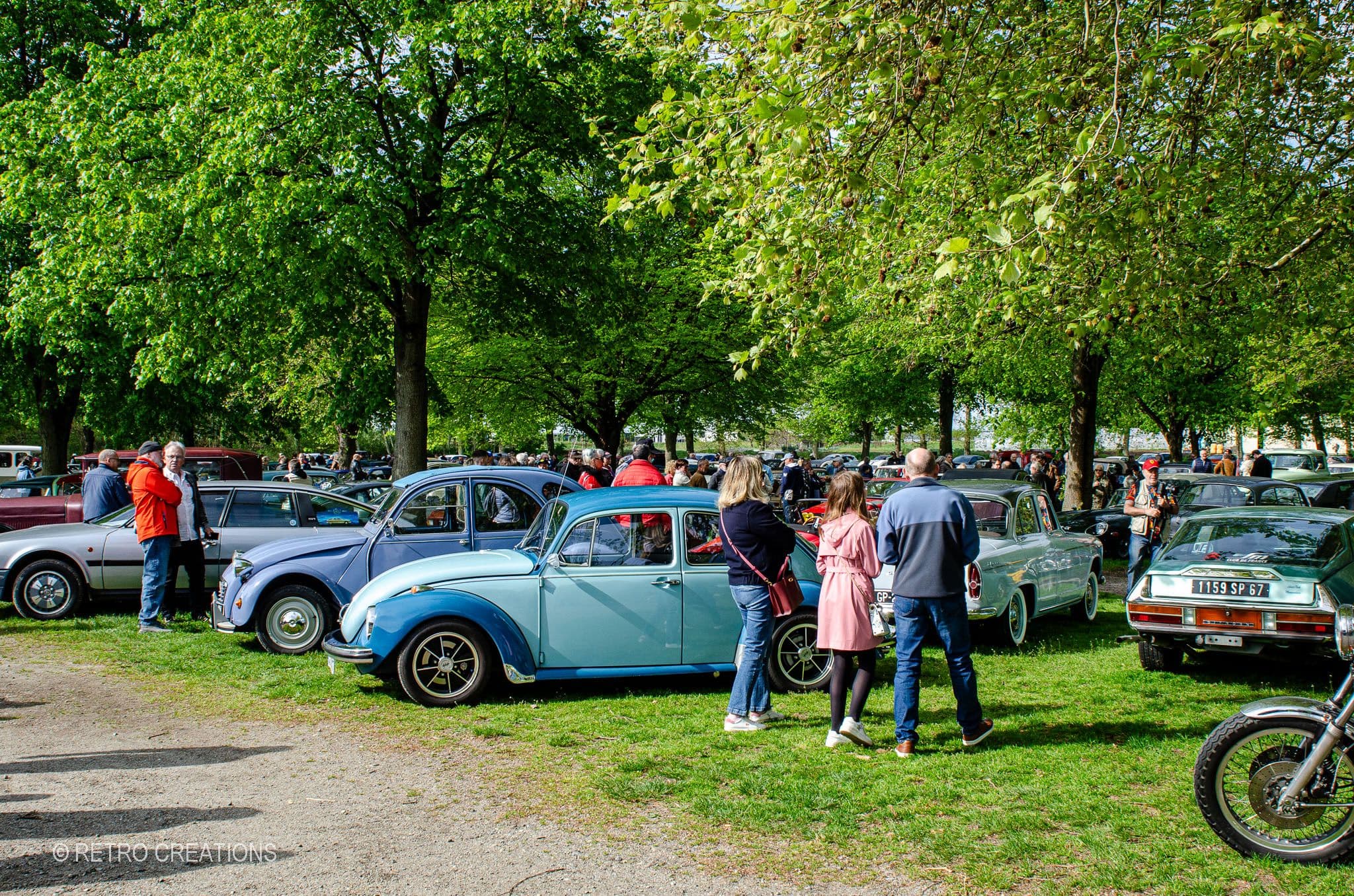 Des véhicules de collection garés durant un rassemblement en Alsace.