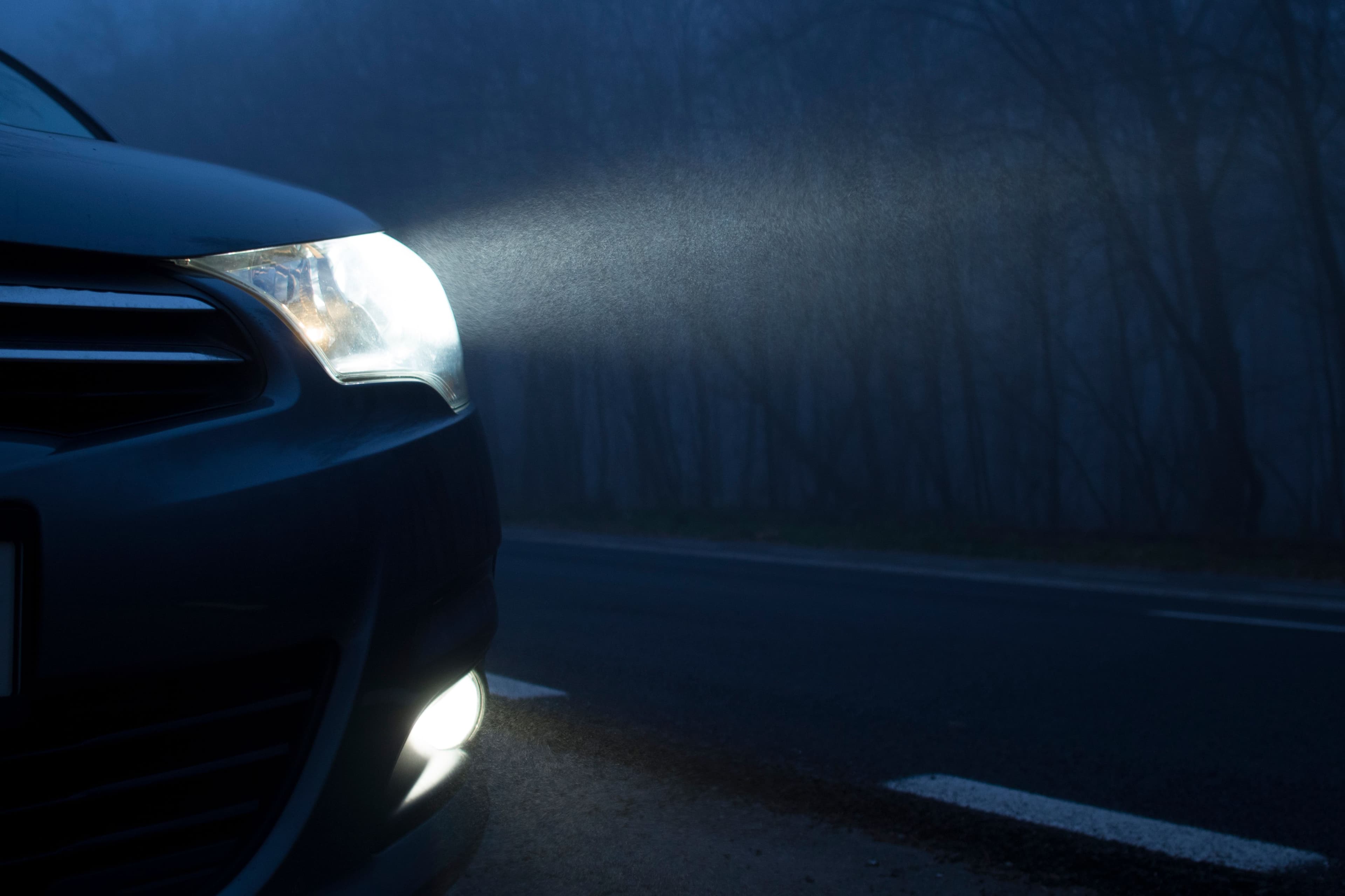 phare avant d'une voiture dans la nuit en forêt