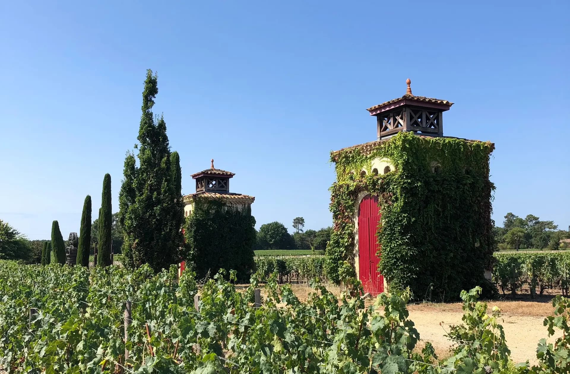 Se balader dans les vignes du Château Smith Haut Lafitte. ©Roole