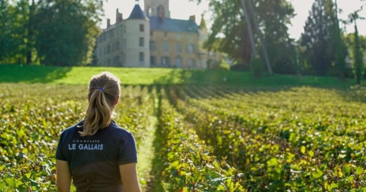Le champagne Legallais, labellisé Haute valeur environnementale depuis 2020. ©Domaine Boursault-Champagne Legallais