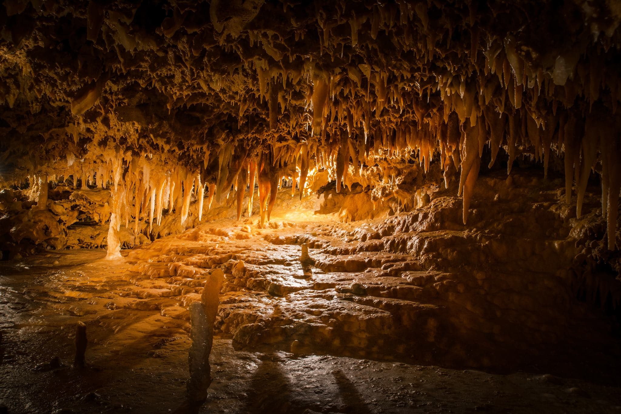 La grotte du Grand Roc. ©Grotte du Grand Roc