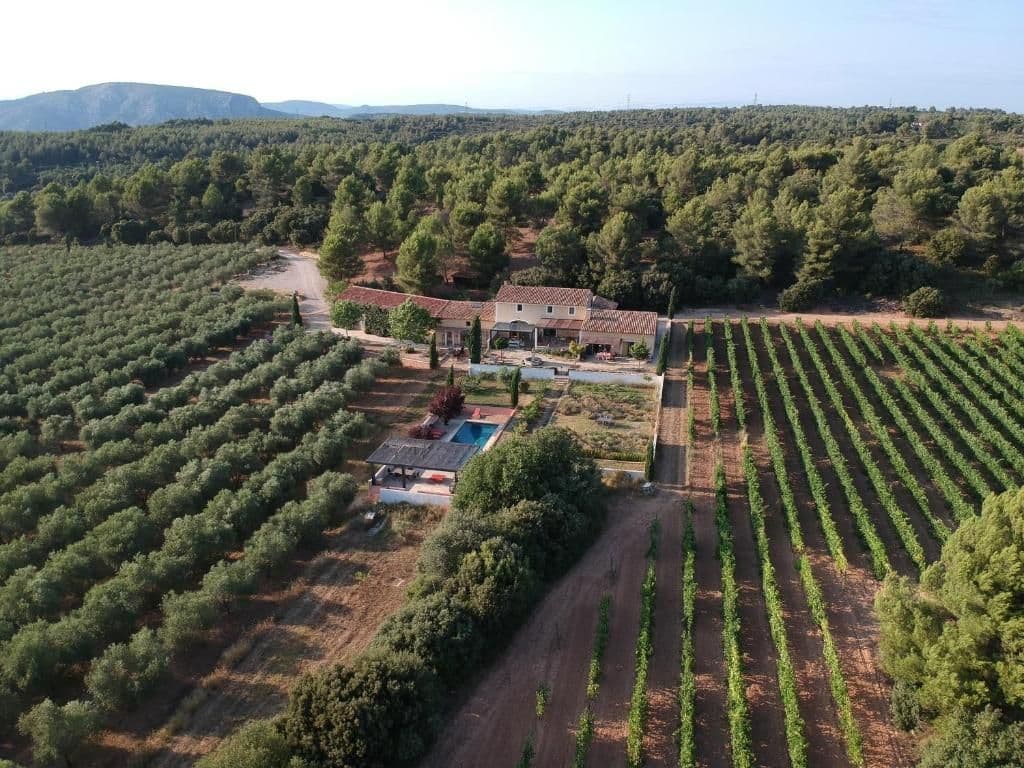 Vignes, oliviers et amandiers : c'est le décor que vous trouverez au Domaine de Villemus. ©Domaine de Villemus