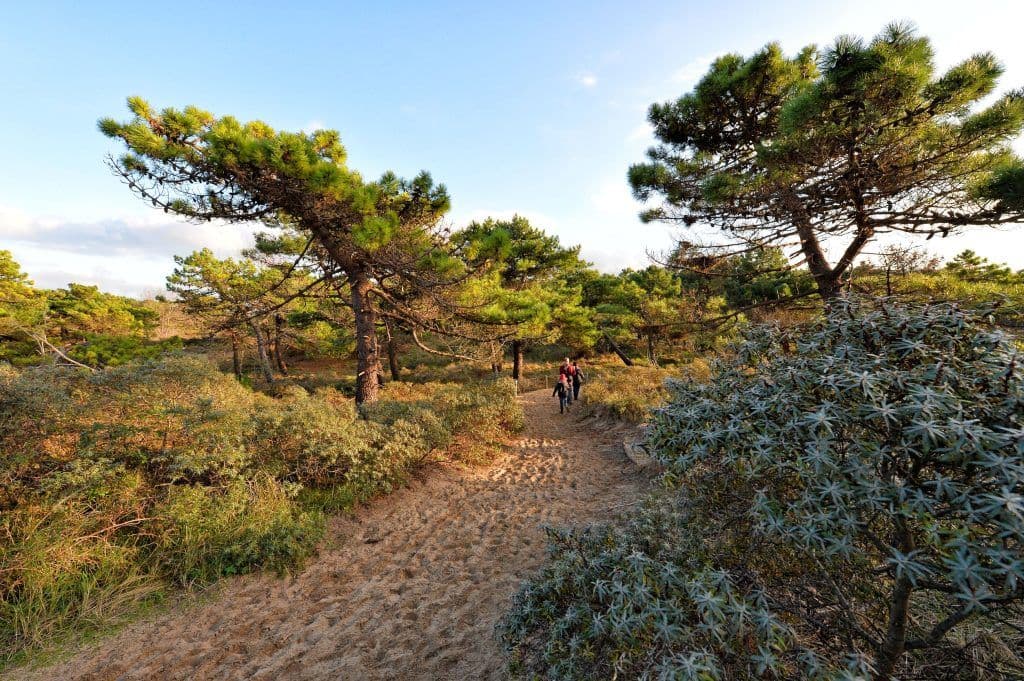 Profitez des sentiers et de la nature sur les dunes de la Slack. ©EricDesaunois