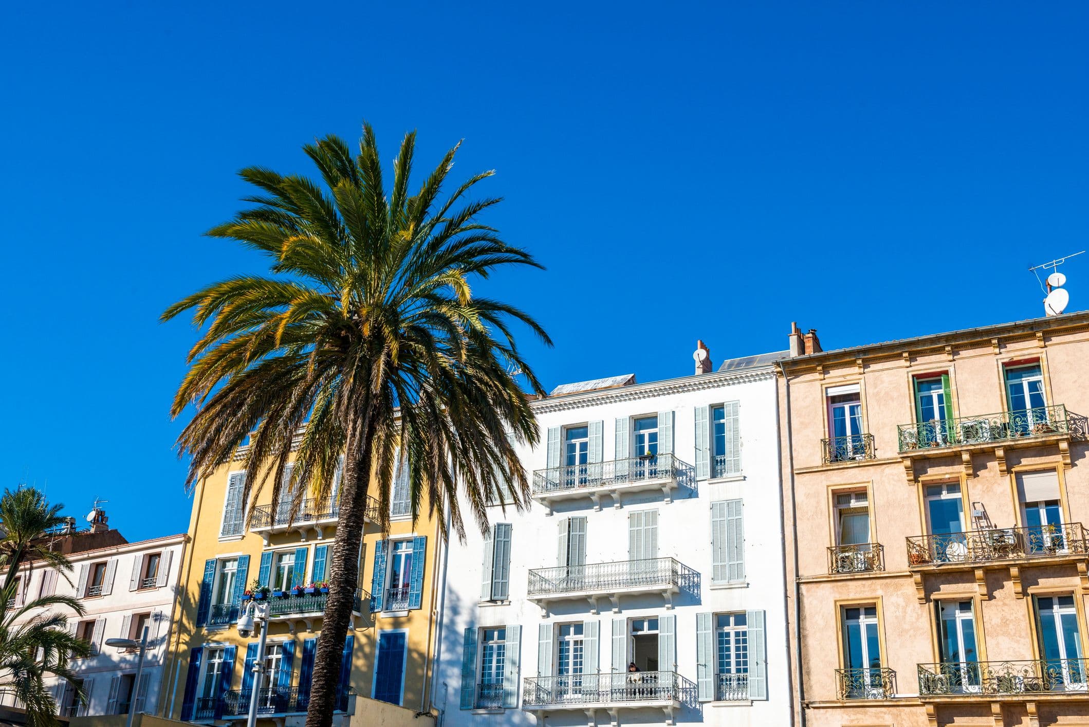 Hyères, ses palmiers et façades ocre. ©Domimage