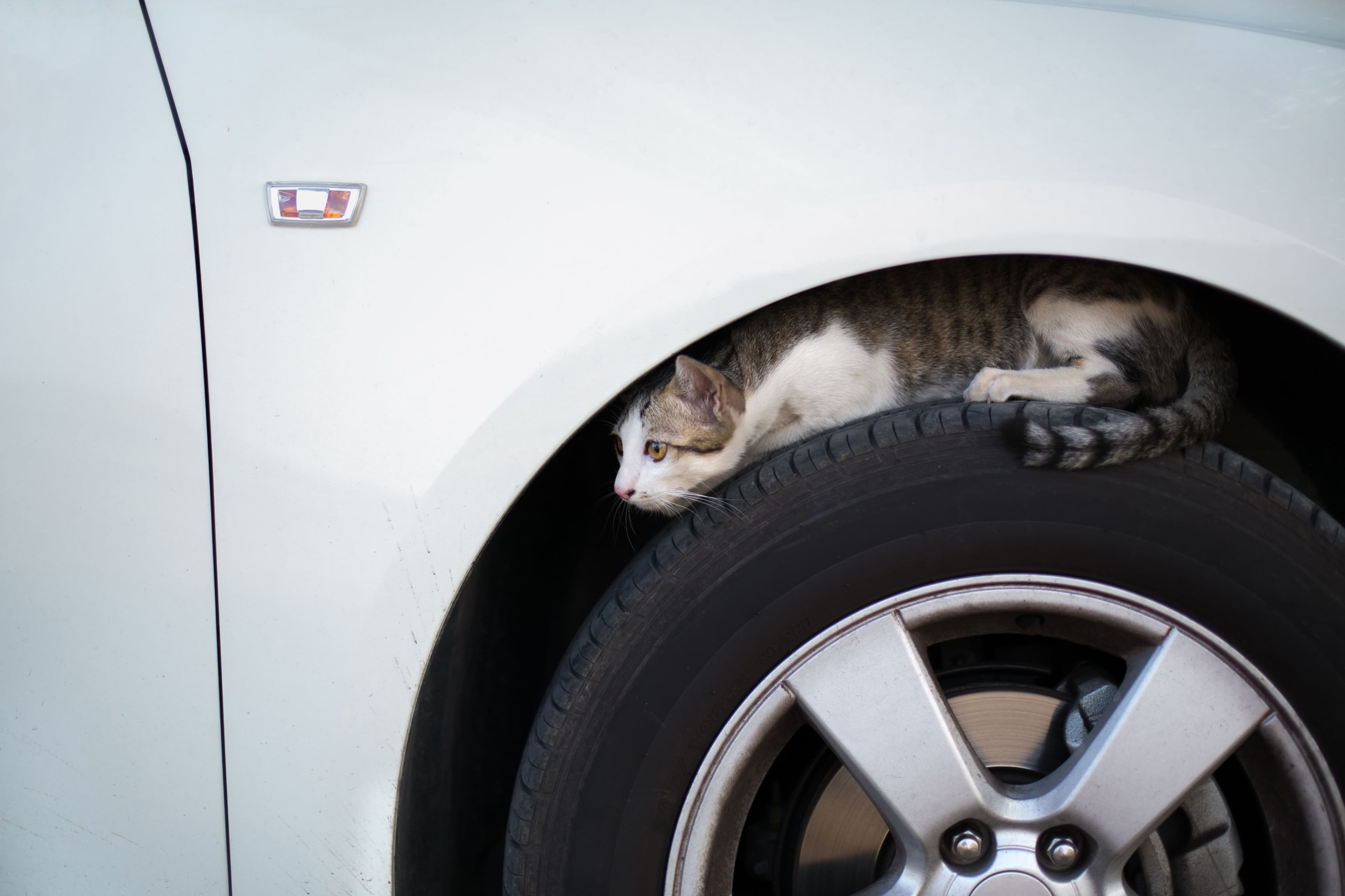 Si vous laissez votre voiture trop longtemps au garage, vous