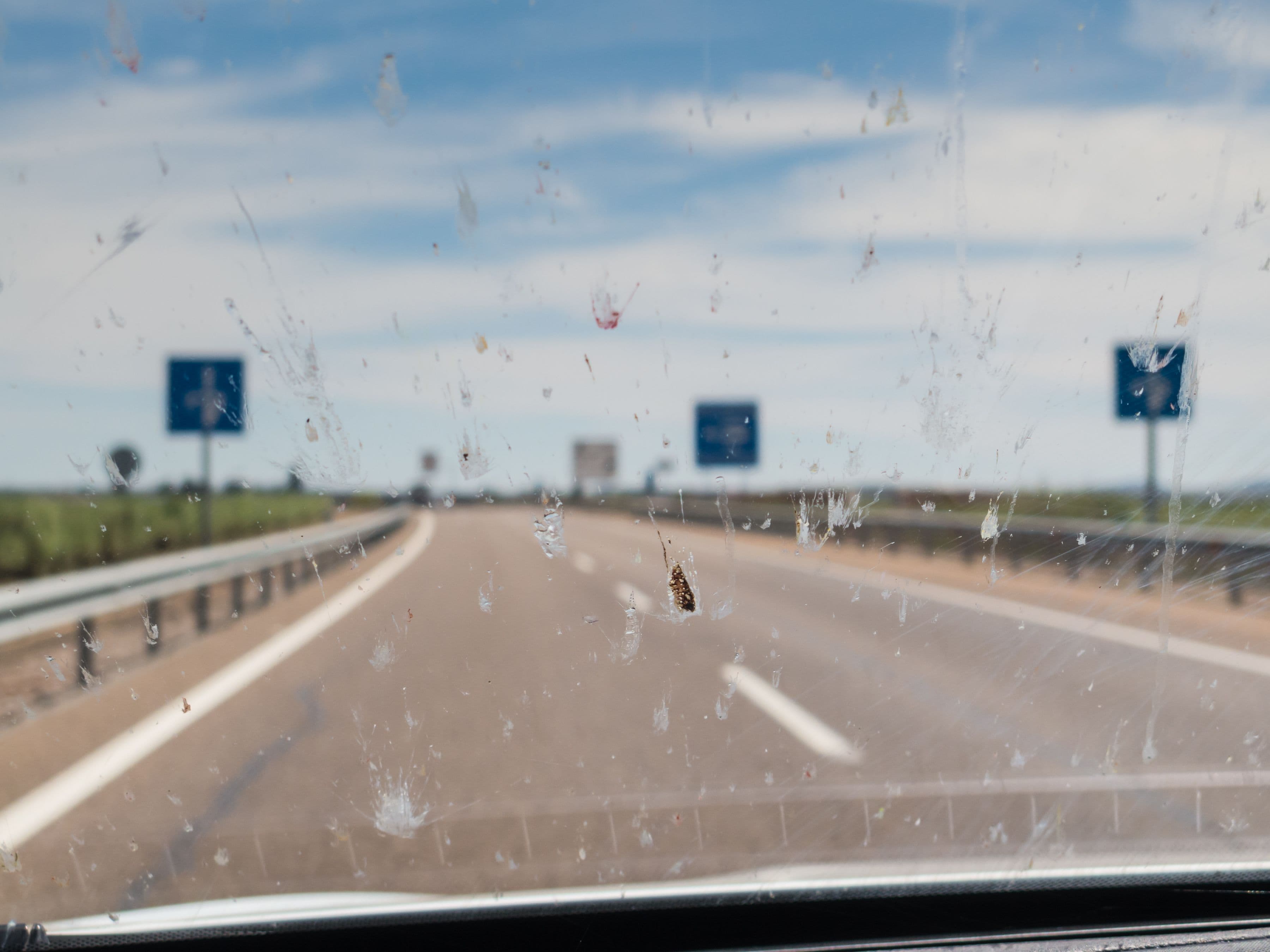 Des insectes écrasés sur un pare-brise de voiture, vus de l'intérieur