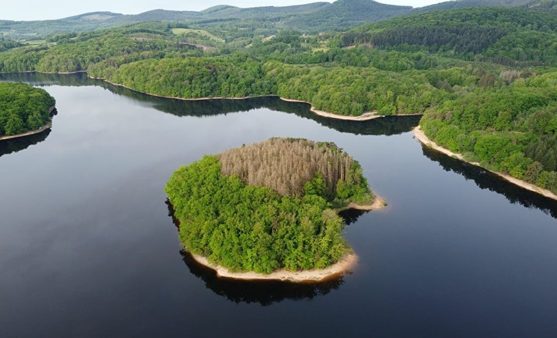 Forêts de sapin et nature à perte de vue sur le Lac de Chaumeçon. ©OT Morvan.