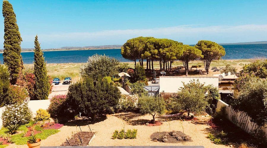Vue sur l'étang bordé de pins depuis la Lagune de Bages : une invitation à la détente ©LaLaguneBages