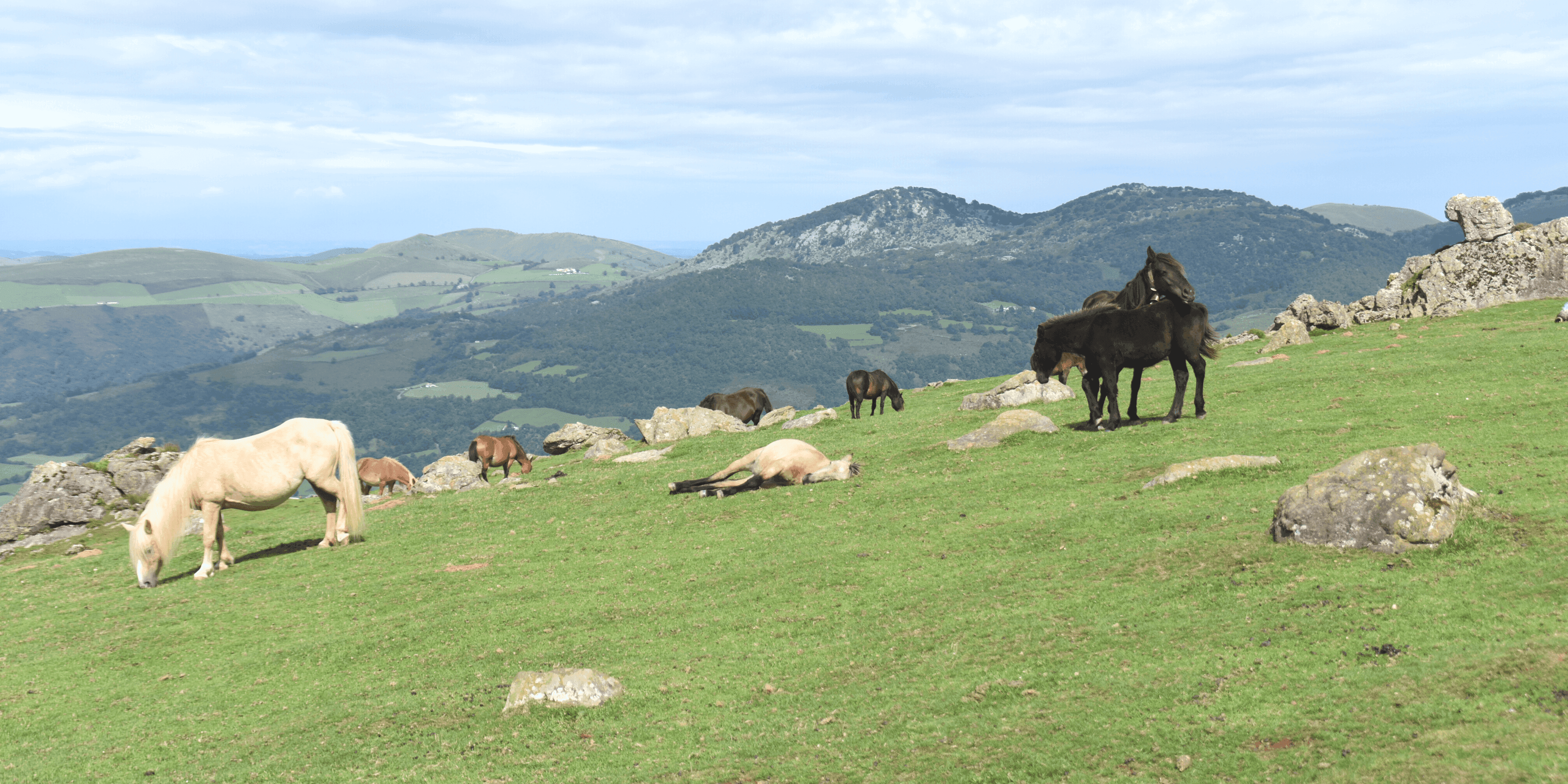 Au Pays basque, l'arrière-pays vaut aussi le détour