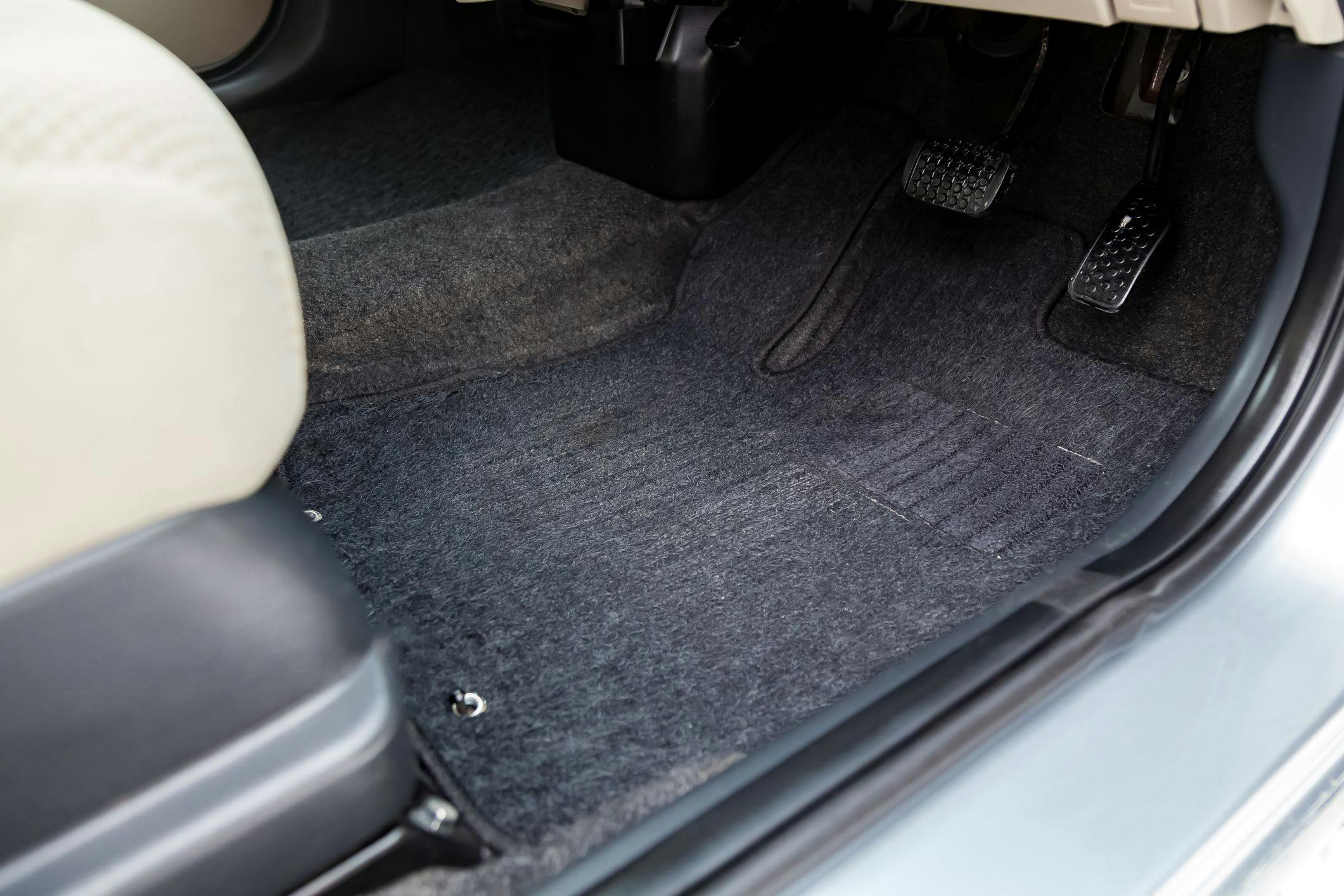 Que faire si vous trouvez des punaises de lit dans votre voiture ?