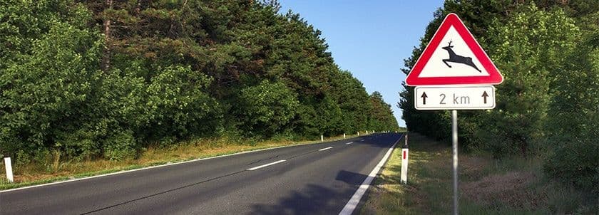 Le panneau A15b signale le passage d'animaux sauvages.