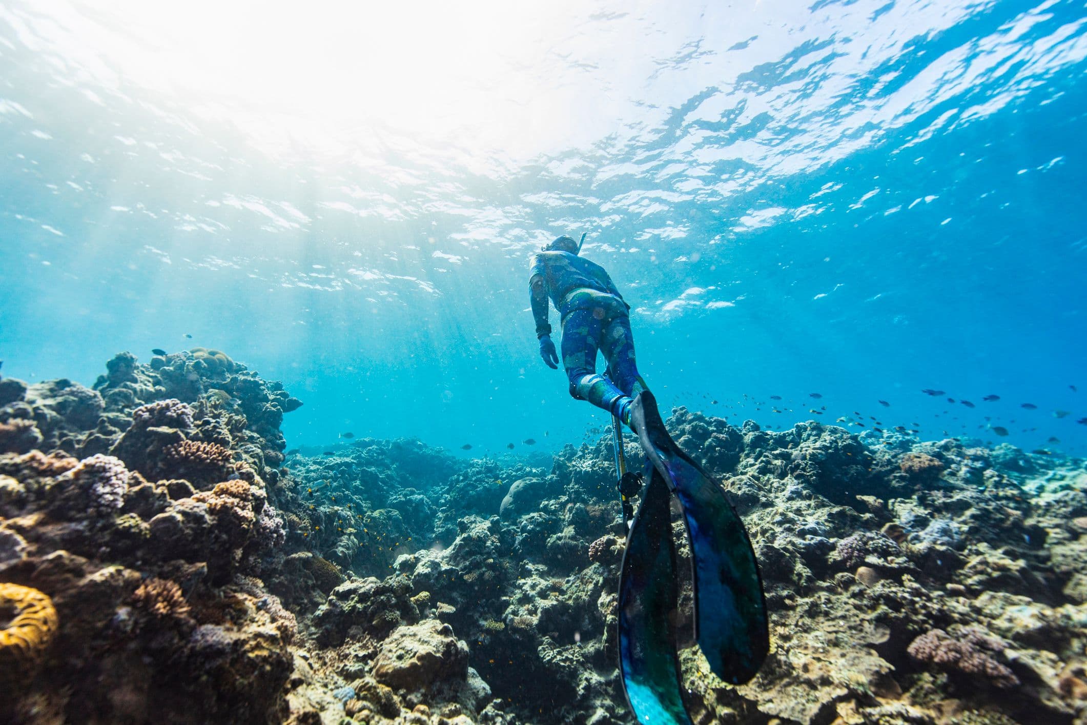 Plongée sous marine avec Hippocampe Club. ©Philip Thurston