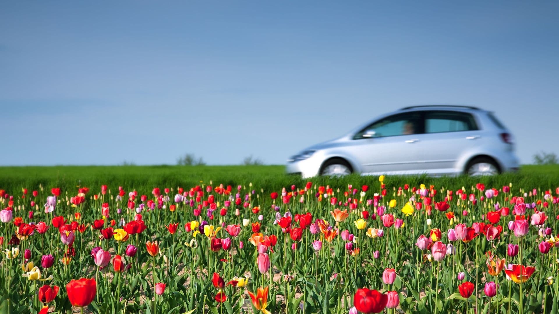 Une voiture roulant dans les champs en fleurs pour souligner le fait de conduire au printemps et mettre en avant les différentes erreurs qu'on peut faire à cette saison