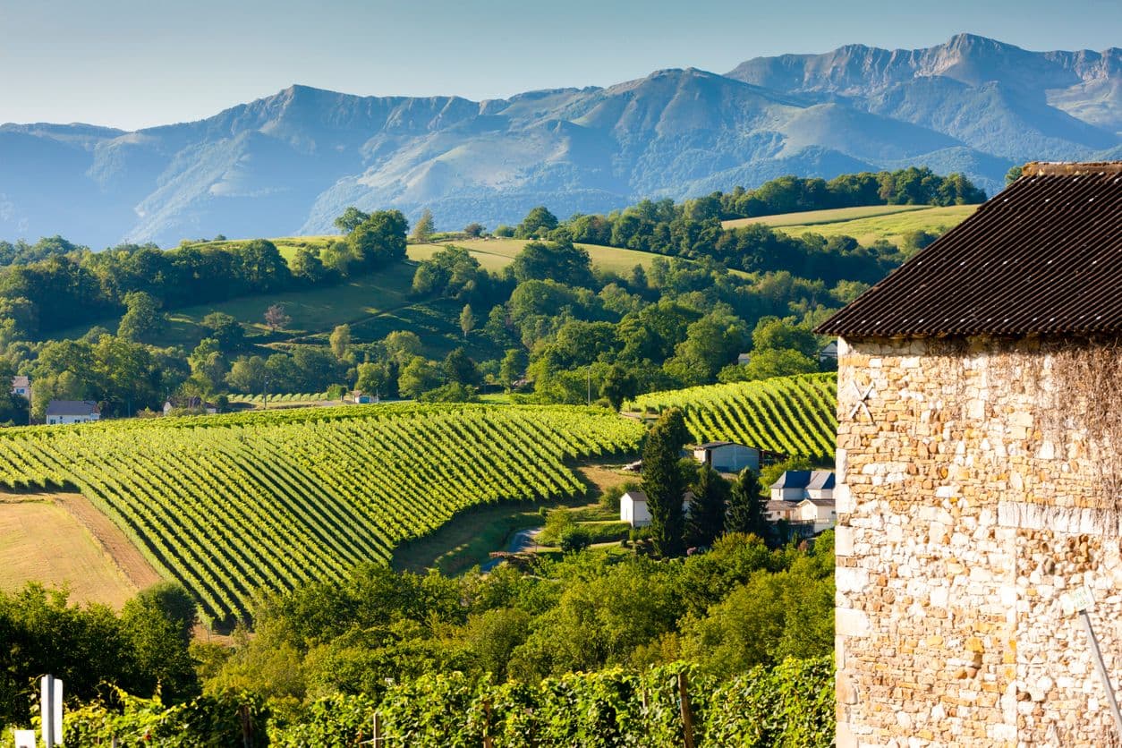 Le vignoble du Jurançon, au sud de Pau et aux portes des Pyrénées. ©phbcz