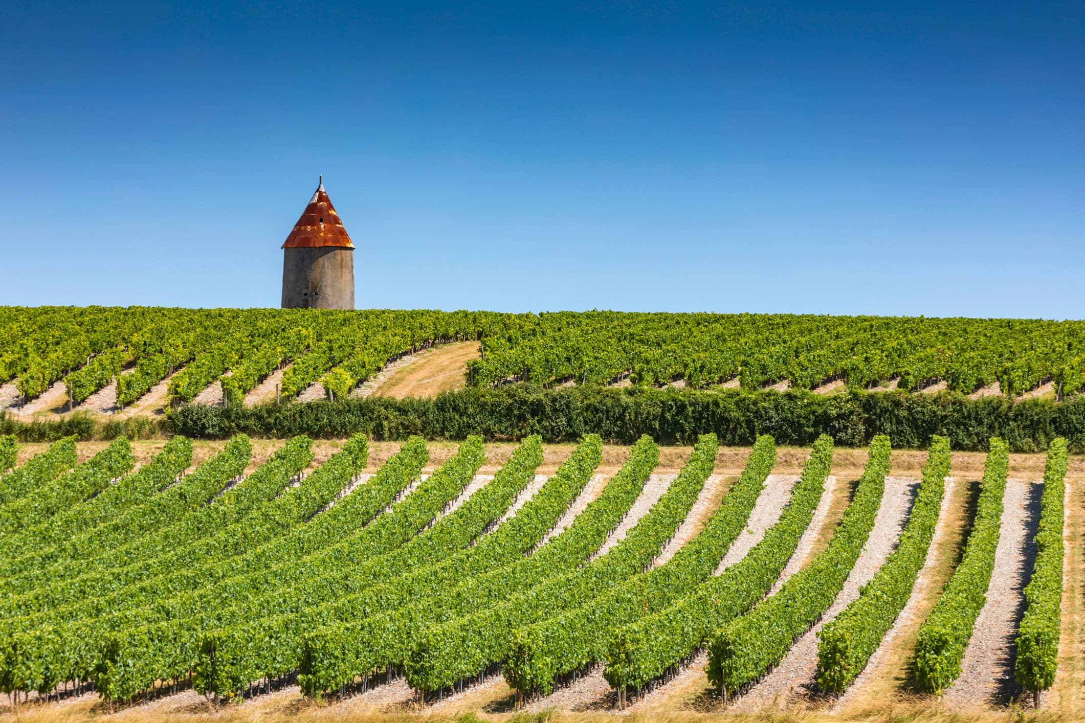 cognac voyage road trip france aquitaine ouest vin patrimoine découverte voyage angouleme bassac jarnac