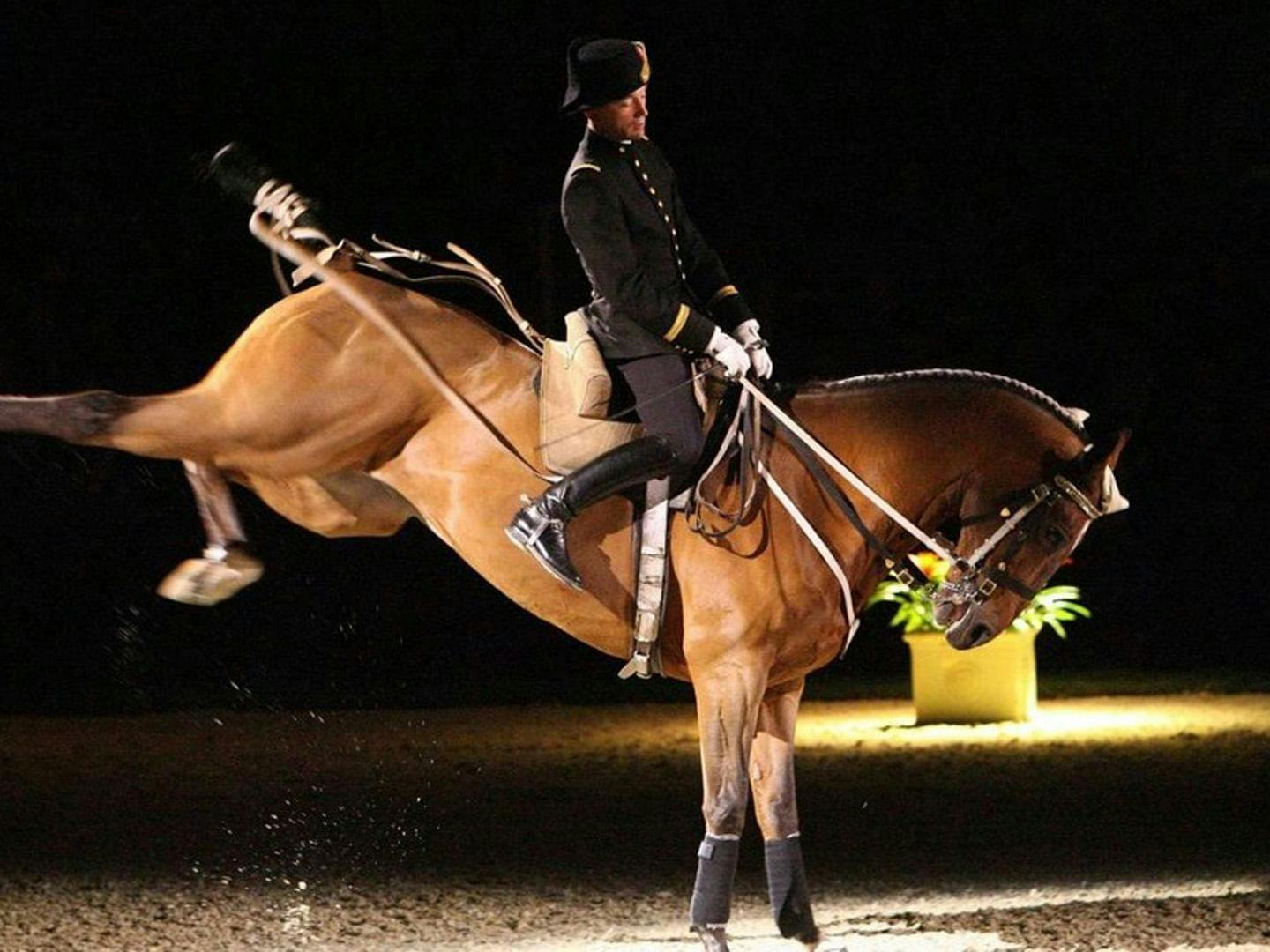 Le Gala du Cadre Noir, incontournable pour les amateurs d'équitation. ©Le Cadre Noir Saumur