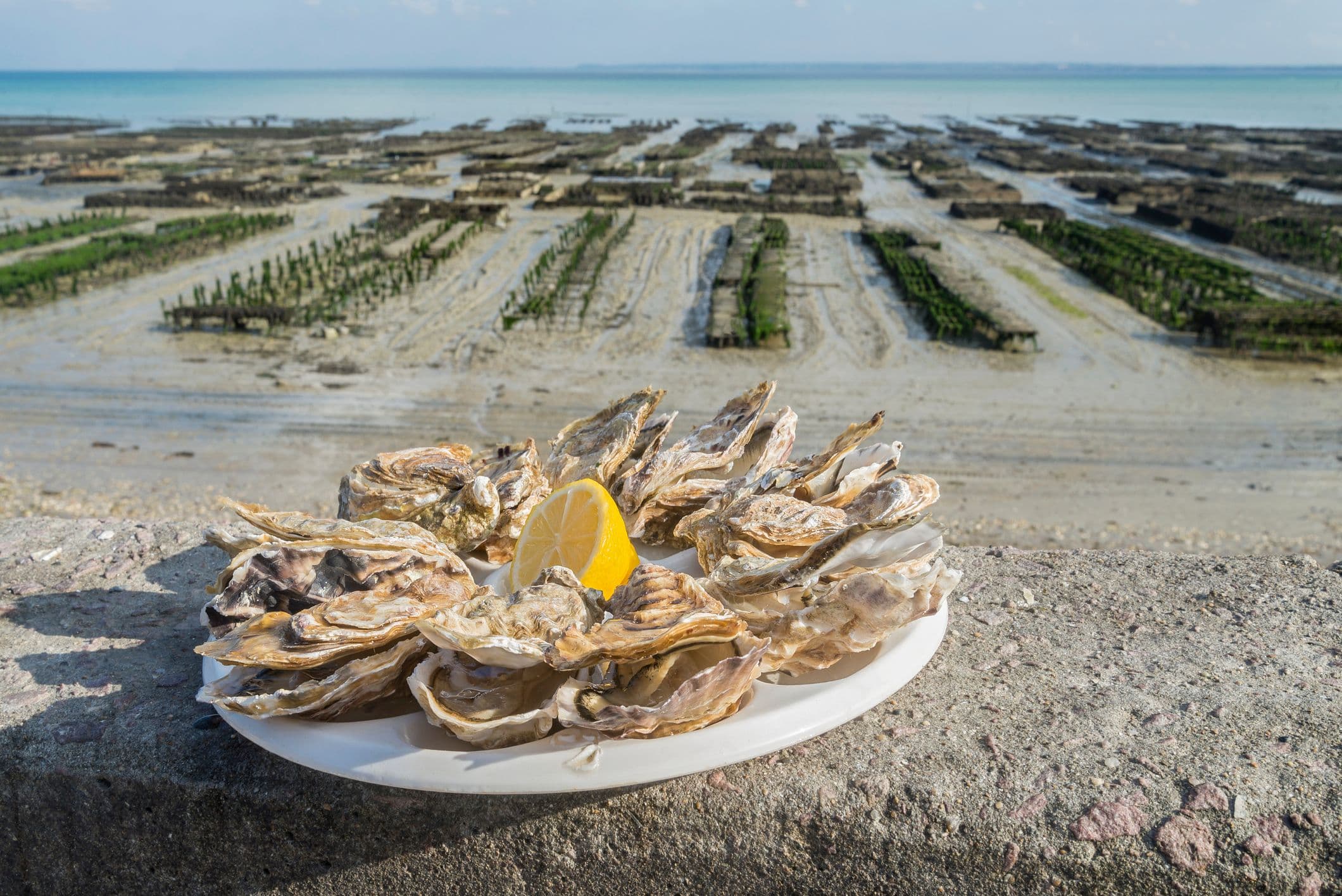 Le marché aux huîtres de Cancale.