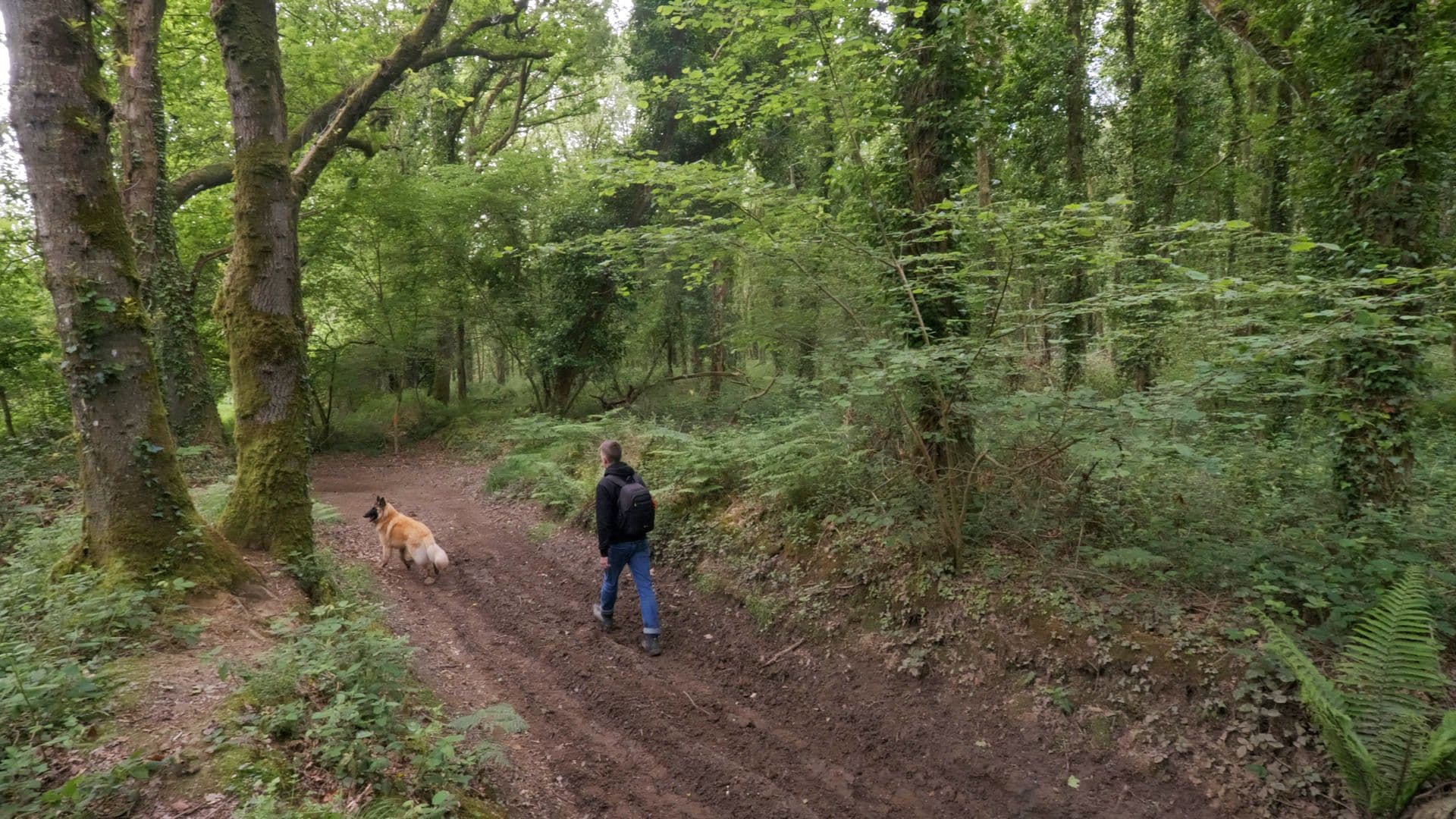 Rien de mieux qu'une balade en forêt pour bien démarrer la journée ! ©Roole