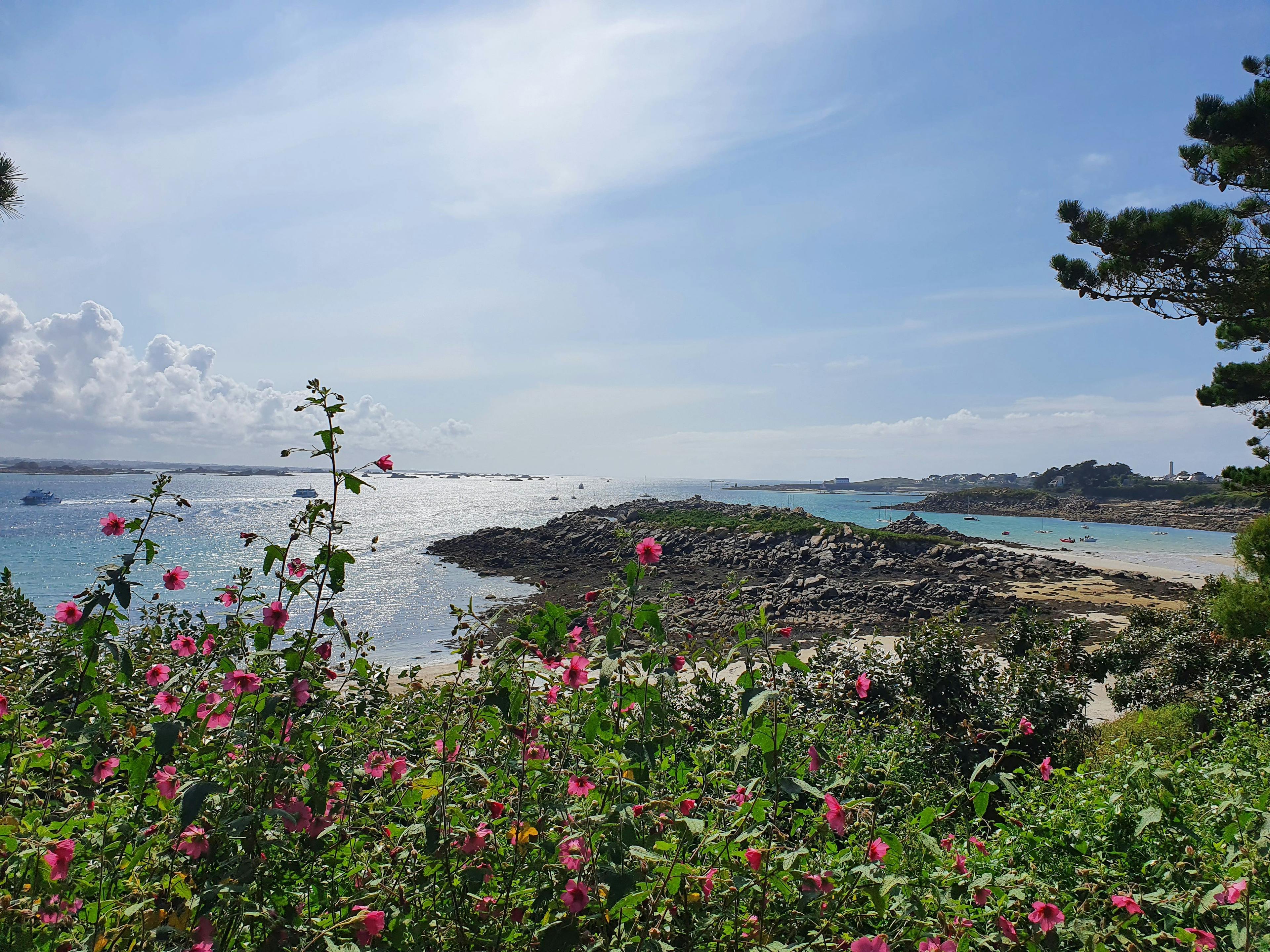 Les eaux turquoises et la flore exotique de l'île de Batz. ©Roole