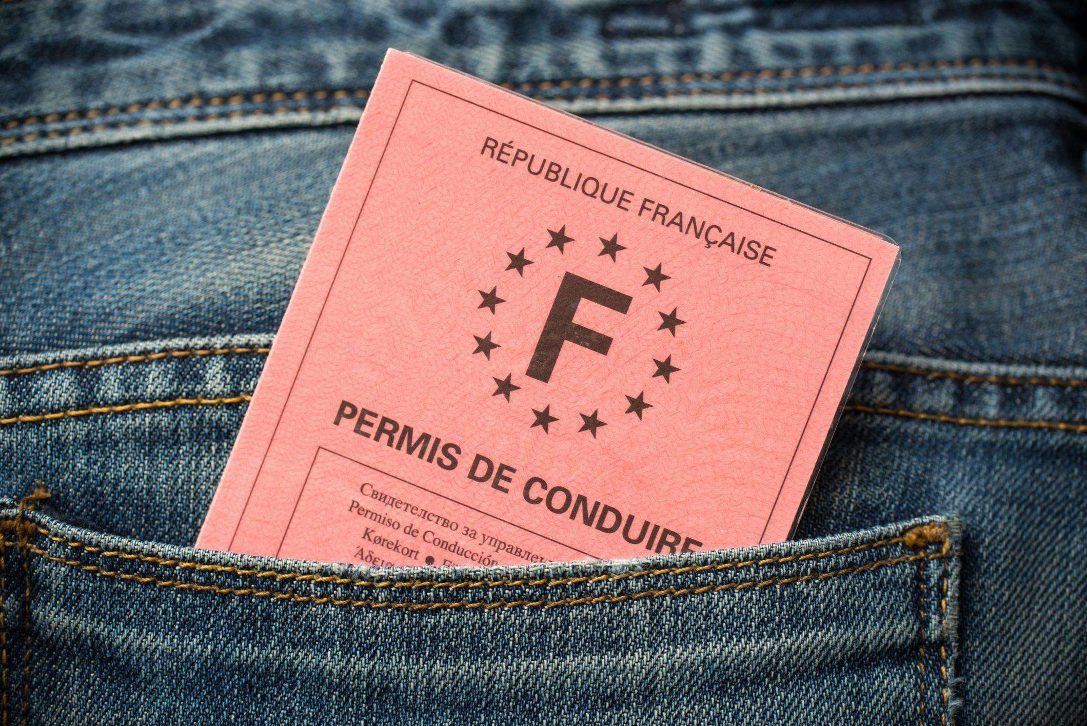 Photo d'un permis de conduire format papier rose.