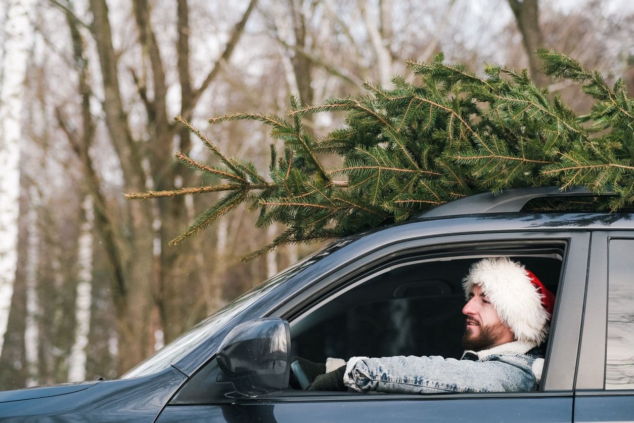 Un sapin attaché sur le toit d'une voiture.