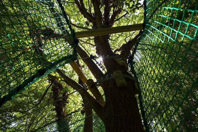 Parc d'aventures C.O.R.D.(e)